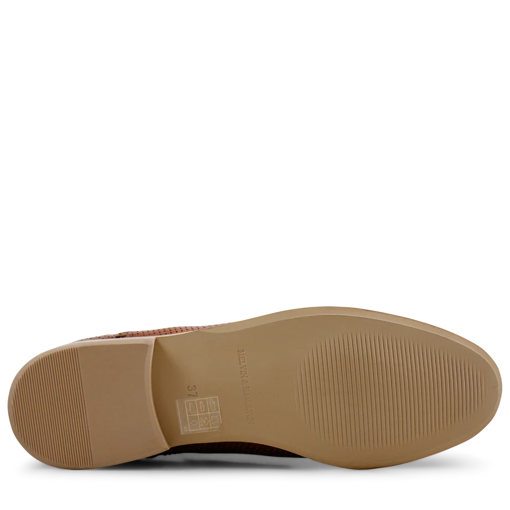 Xenia 1 - Image 5
